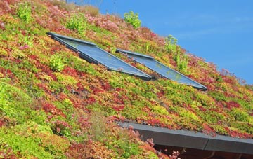 Hilmarton living roof systems